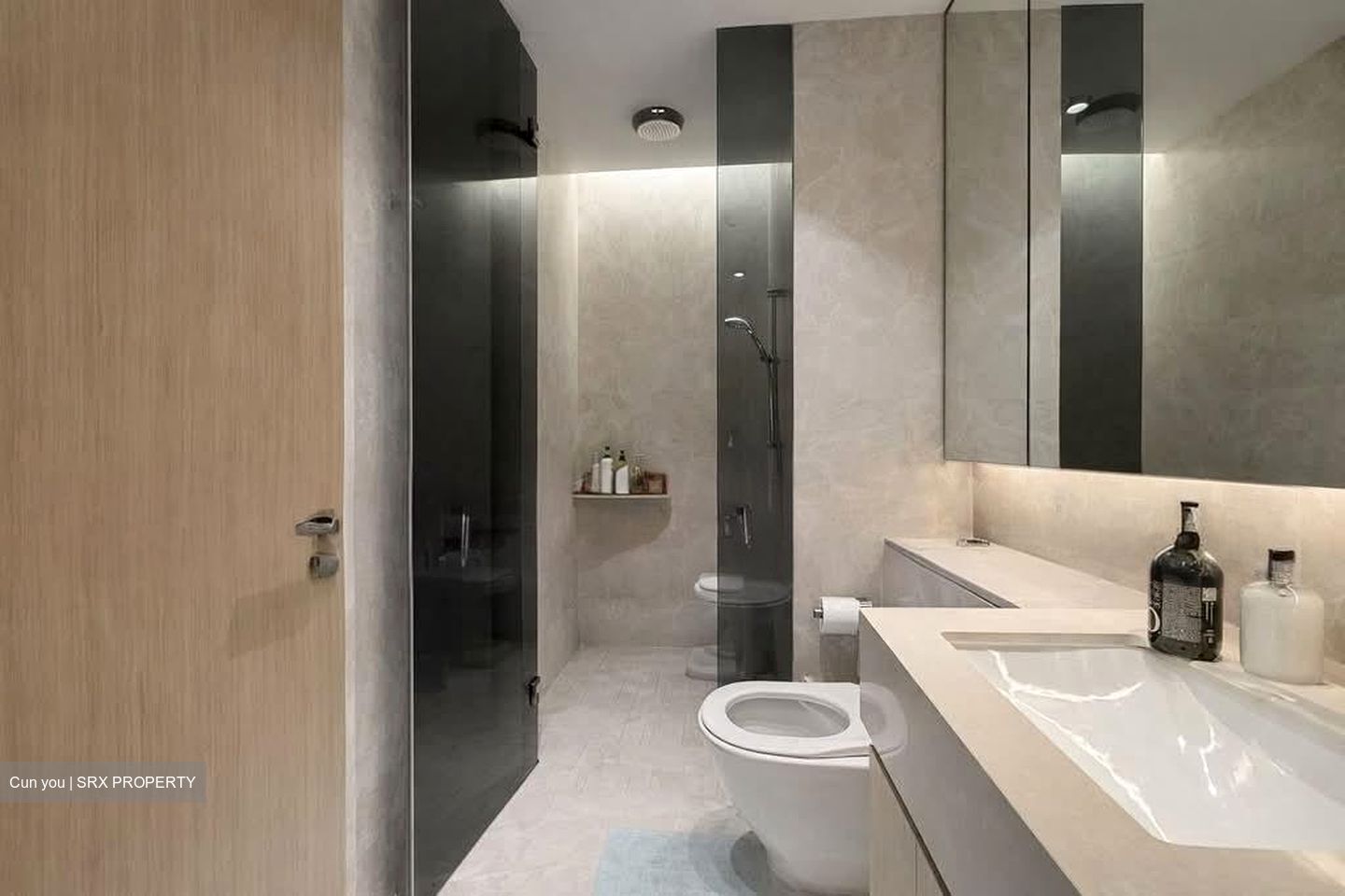 Amber Park (D15), Condominium #532861411